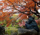 東京都の各地は紅葉シーズンに