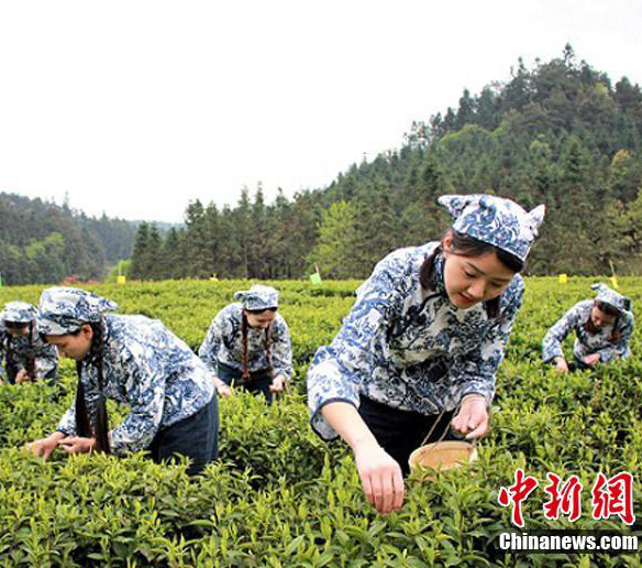 中國(guó)のハイエンド黒茶が誕生するまで