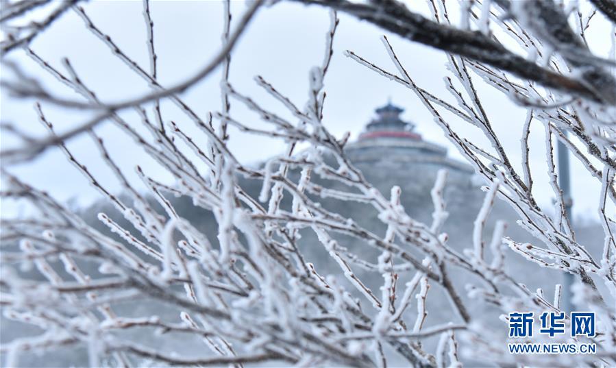 絵畫のような美しい雪景色　樹氷で飾られた張家界の山