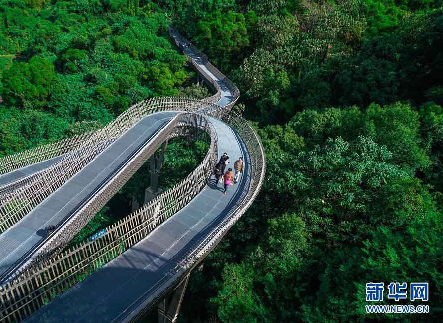 森林に囲まれ空中散歩　福州市安らぎの森林遊歩道　福建省