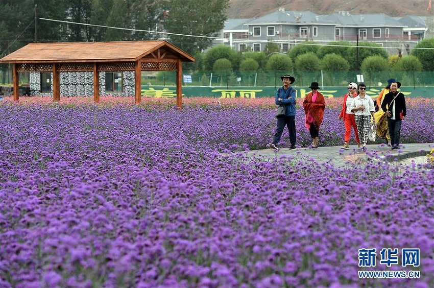 発展続ける農村観光で農家の収益も拡大　甘粛省