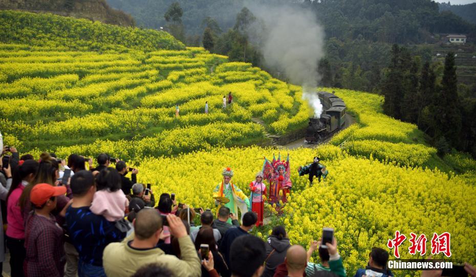 菜の花畑を走り抜ける嘉陽(yáng)SLをカメラに収める観光客たち（3月12日撮影?劉忠俊）。