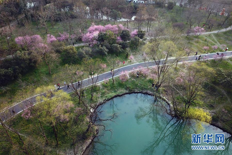 西溪濕地を散策する観光客の様子（3月16日ドローンによる撮影?黃宗治）。