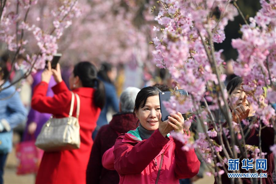 北京市の玉淵潭公園公園で早咲きの桜を楽しむ花見客（3月18日撮影?李俊東）。