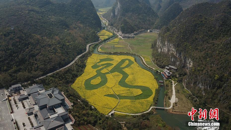 3月19日、「龍」の文字が浮かび上がる菜の花畑（撮影?瞿宏倫）。