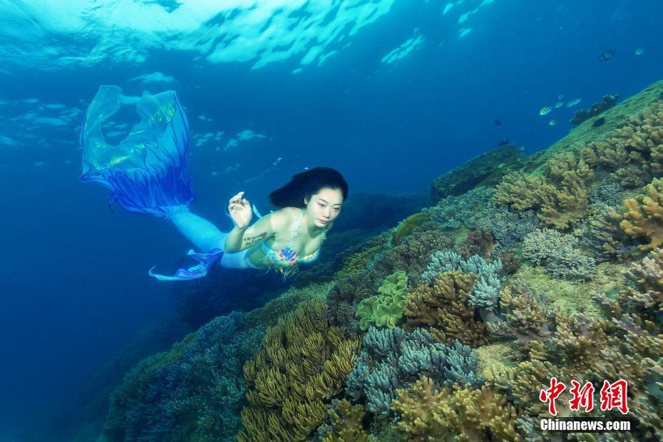 水中寫真家が捉えた三亜の海底世界