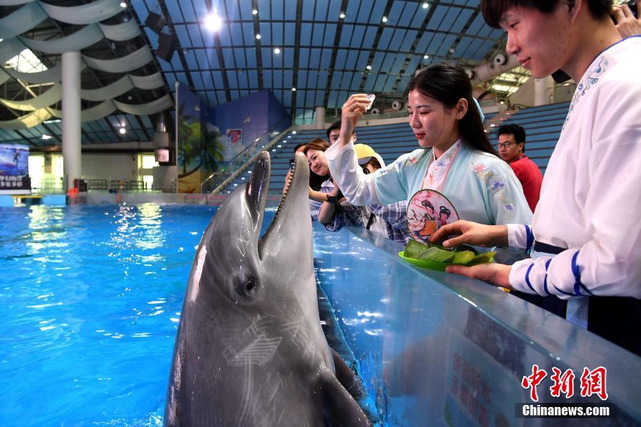 漢服姿でイルカに魚用の「特製粽」を與える海洋館の飼育員（撮影?韓蘇原）。