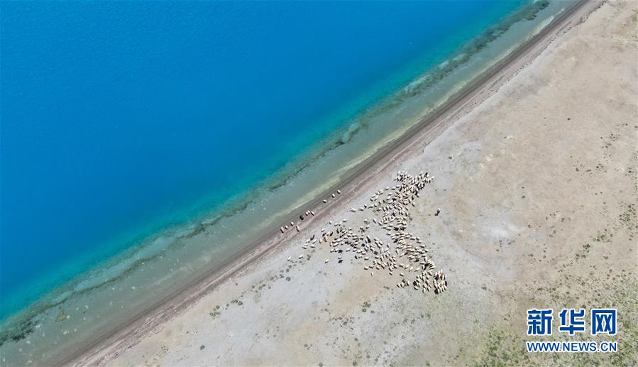 目の覚めるような青い湖水が美しい夏のヤムドク湖　西蔵