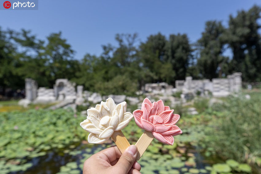 北京の円明園で販売が始まったハスの花型アイスクリーム（寫真著作権は東方ICが所有のため転載禁止）。