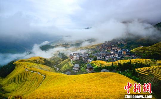 棚田と雲霧が織りなす美しい風景（撮影?潘志祥）。 