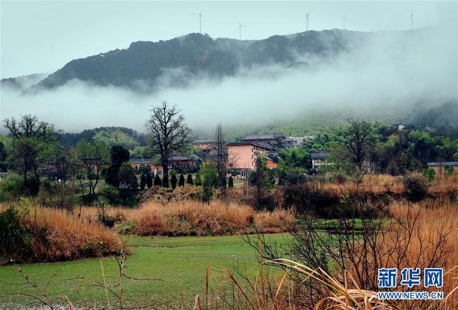 3月29日、霧雲に覆われた黃柏山國家森林公園（撮影?李安）。