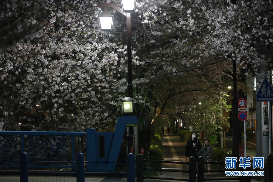 4月6日、東京でサクラの木の下をマスクをして歩く女性ら（撮影?杜瀟逸）。