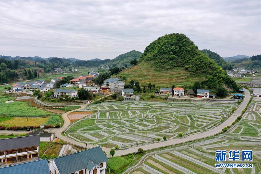 4月13日、貴州省遵義市播州區楓香鎮郊外の郷村（ドローンによる撮影?劉続）。