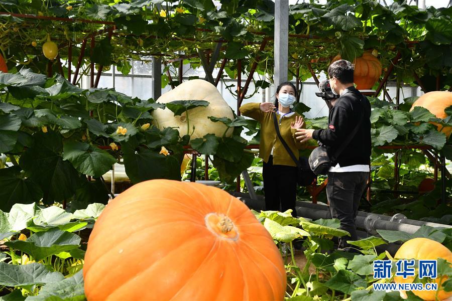 4月20日、壽光國(guó)際野菜科學(xué)技術(shù)博覧會(huì)展示館でライブ配信を行うパーソナリティ（撮影?郭緒雷）。