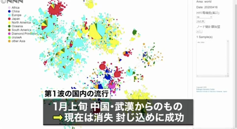 日本の國立感染癥研究所は、現在日本國內で中國武漢の新型コロナウイルスは消失したと分析（グラフ出所／JNN）。