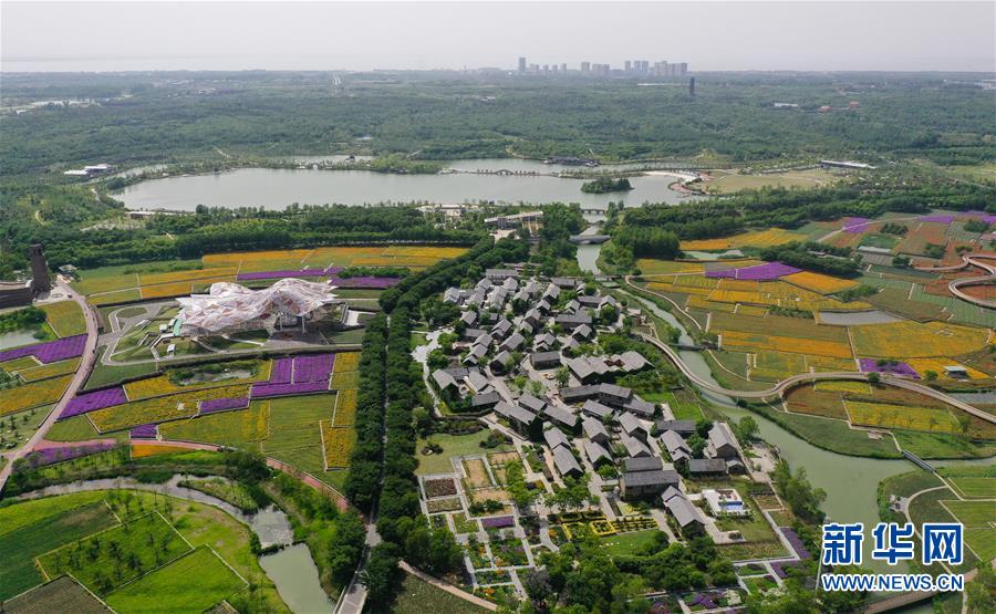 5月13日、江蘇省宿遷市三臺(tái)山森林公園に広がるカラフルな「パッチワークの花畑」（ドローンによる撮影?李春鵬）。