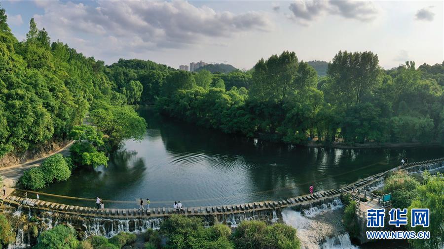 5月19日、貴陽市花渓國家都市濕地公園の黃金大道（ドローンによる撮影?歐東衢）。