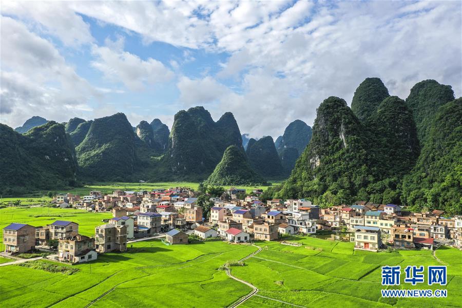 緑鮮やかな初夏の田園風景　広西?環江カルスト