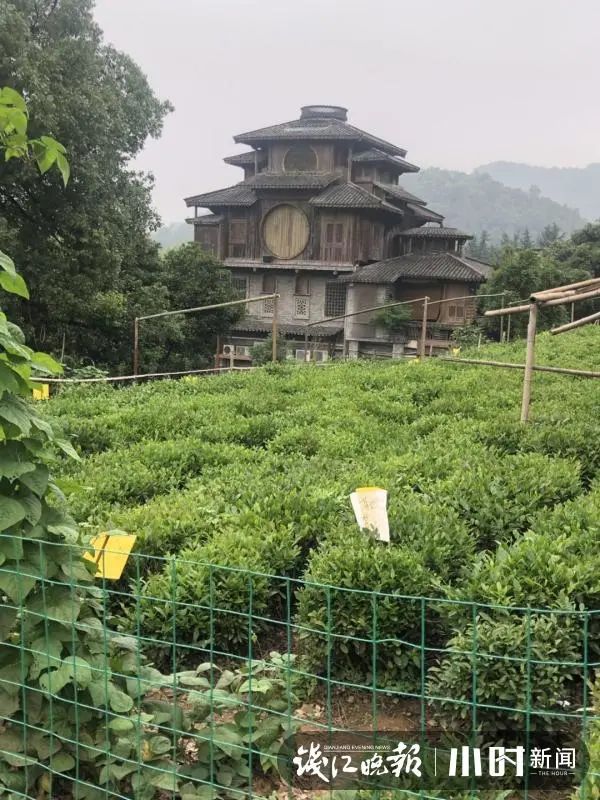 「千と千尋の神隠し」の銭湯そっくりの民家が話題に　西湖景勝地