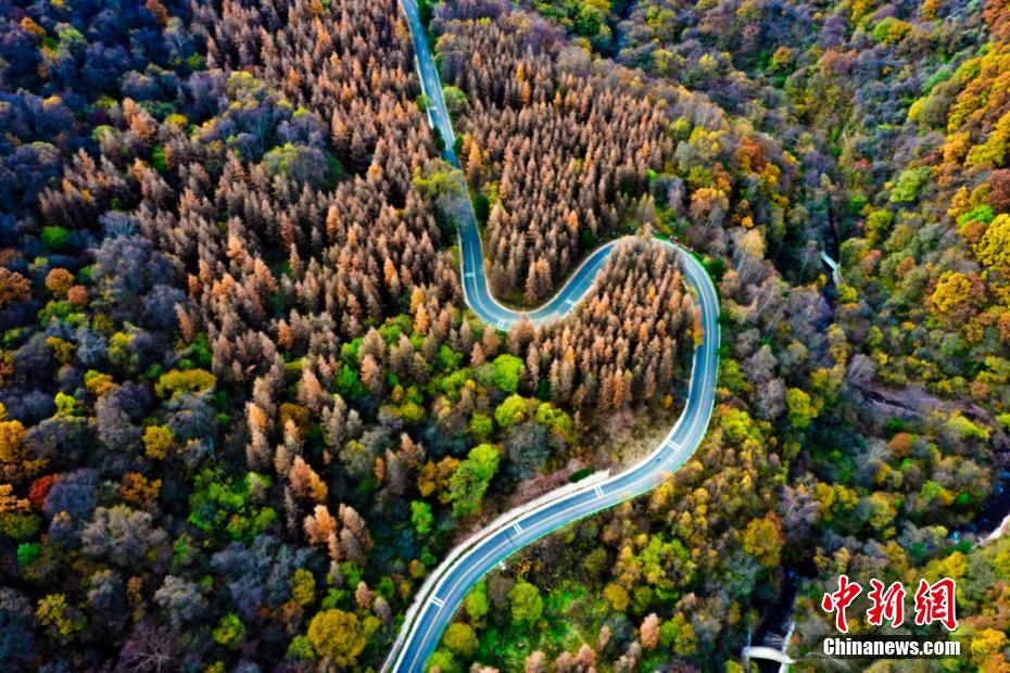 秋色のパレット一面に広がる六盤山　寧夏