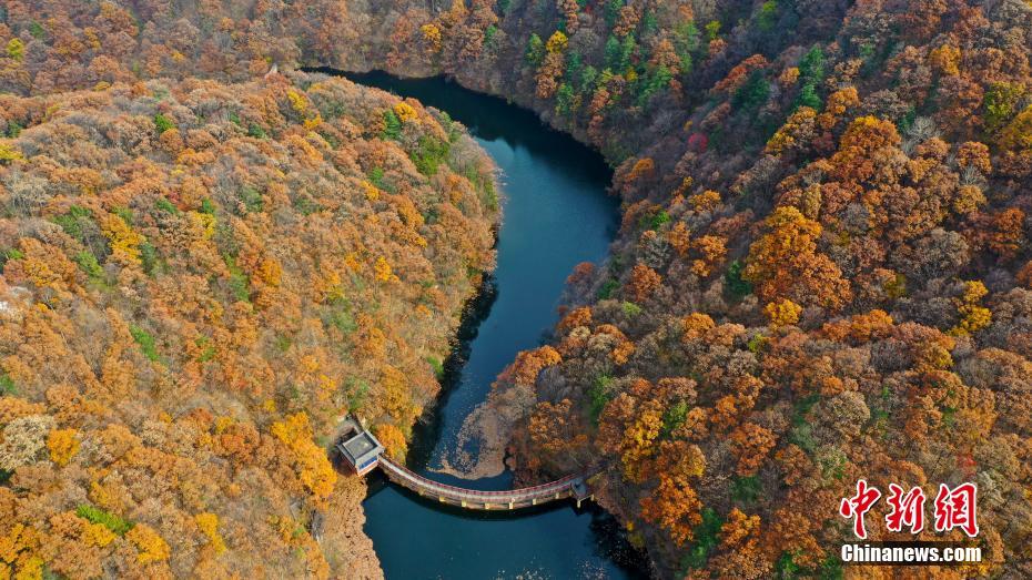 10月26日、河南省洛陽市白雲山景勝地の秋景色（撮影?牛書培）。