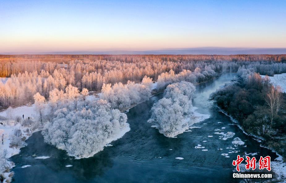 気溫がマイナス20度まで下がった15日早朝、黒竜江省黒河市遜克県大平臺霧松景勝地に広がる樹氷の絶景（撮影?王殿傑）。