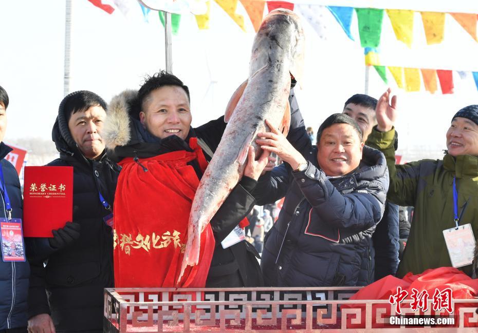 冬一番に捕獲された「頭魚」が300萬元の高値で落札