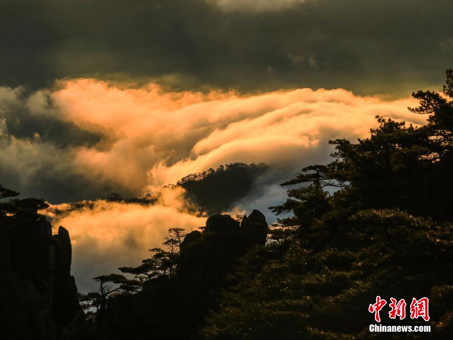 1月24日、安徽省黃山景勝地に現(xiàn)れた巨大な雲(yún)海の景観（撮影?李金剛）。