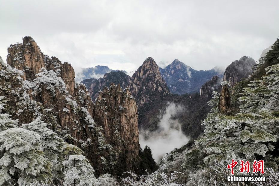 黃山景勝地の氷に覆われ、クリスタルのような美しさをたたえる霧氷。