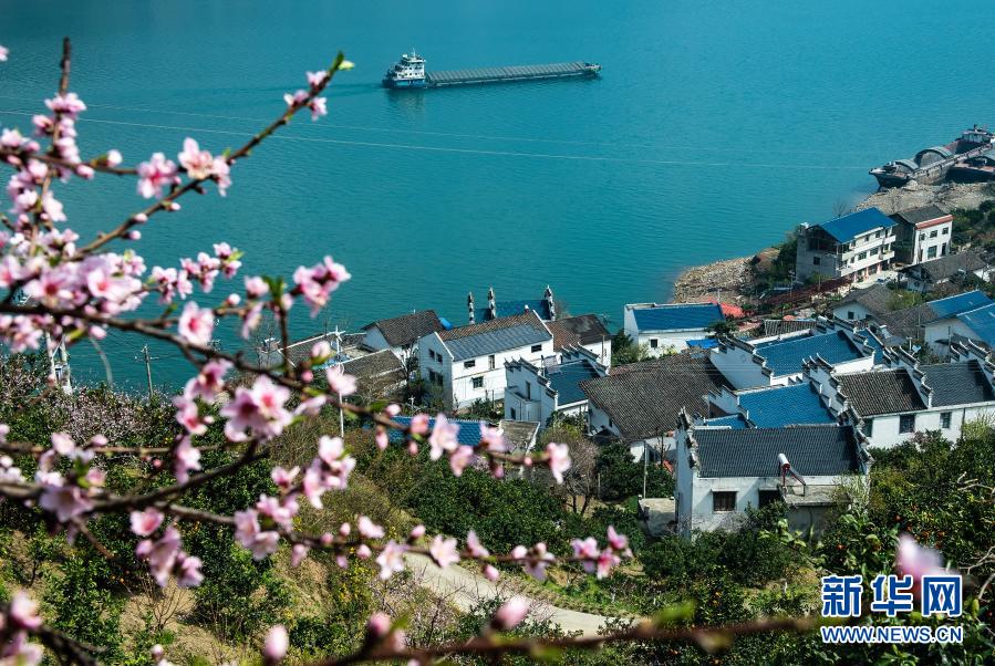 3月3日、湖北省宜昌市秭帰県域內(nèi)の長江三峽を航行する船舶（撮影?鄭家裕）。