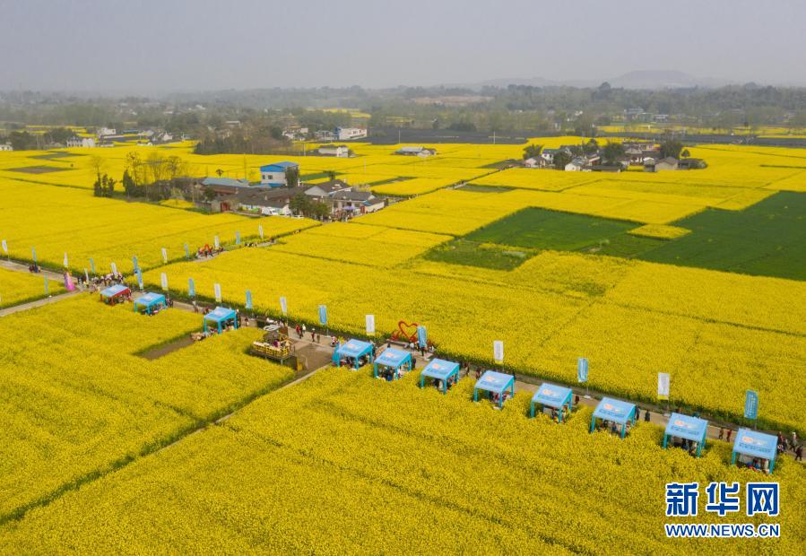 「花」を通じて推し進(jìn)める郷村振興　四川省綿陽(yáng)