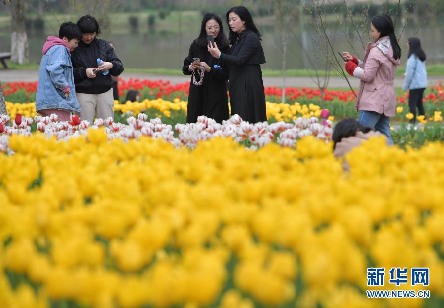 春の花を楽しむ　江西?南昌