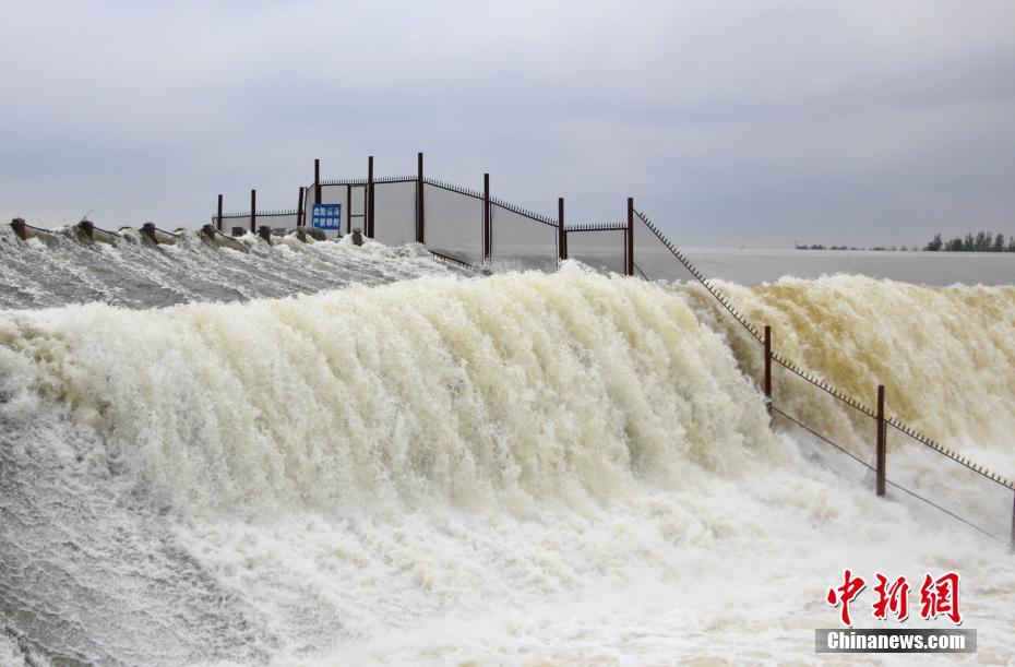 連日の豪雨の影響を受け、壯観な光景を目にすることができる運河水利の重要地である戴村壩（撮影?趙暁）。