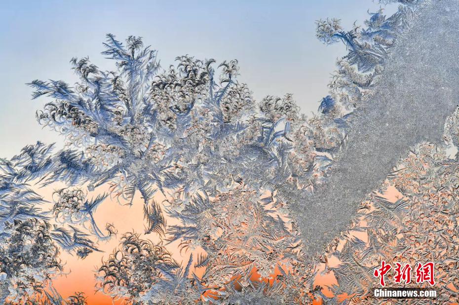 中國東北エリアで氷點下28度記録　窓には「世界に一つだけの氷花」