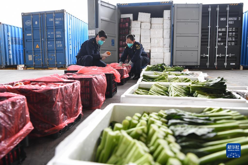 2月21日、深セン港大鏟灣で、香港地區(qū)向けの野菜の検査を行う深セン稅関職員（撮影?梁旭）。