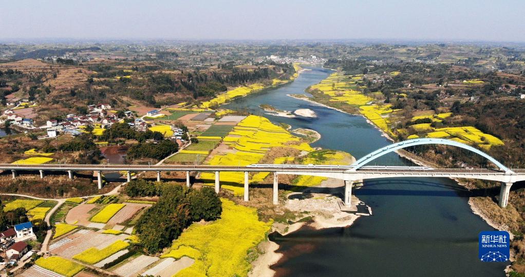 3月7日、四川省成都と重慶を結ぶ成渝高速鉄道の四川省內江區間を走る高速鉄道列車（ドローンで撮影?黃正華）。