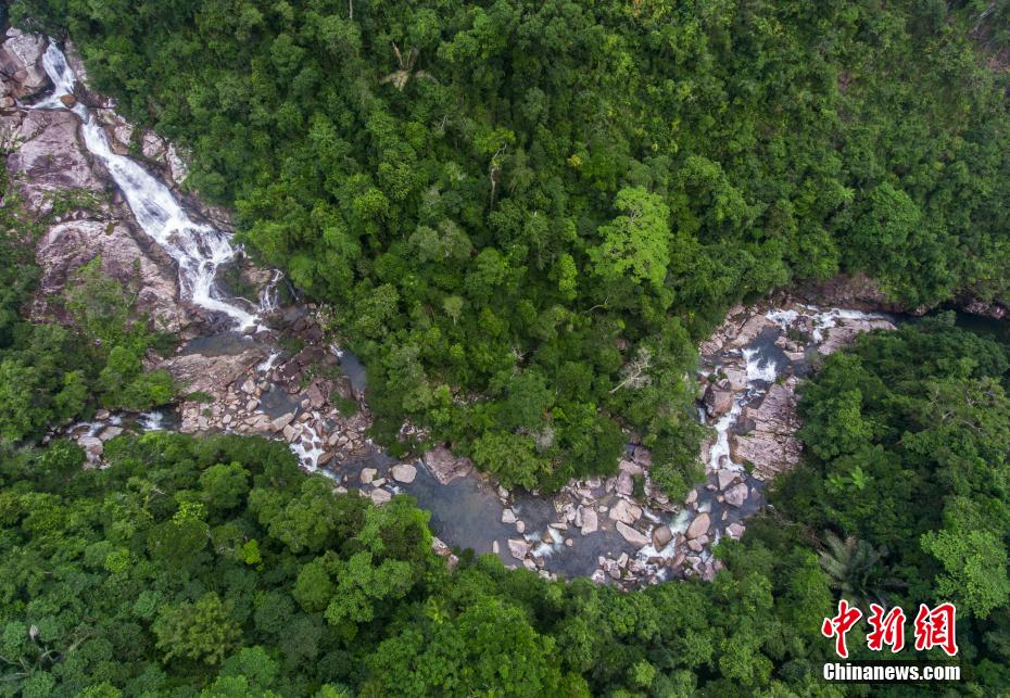 上空から撮影した吊羅山雨林渓流（撮影?駱雲(yún)飛）。