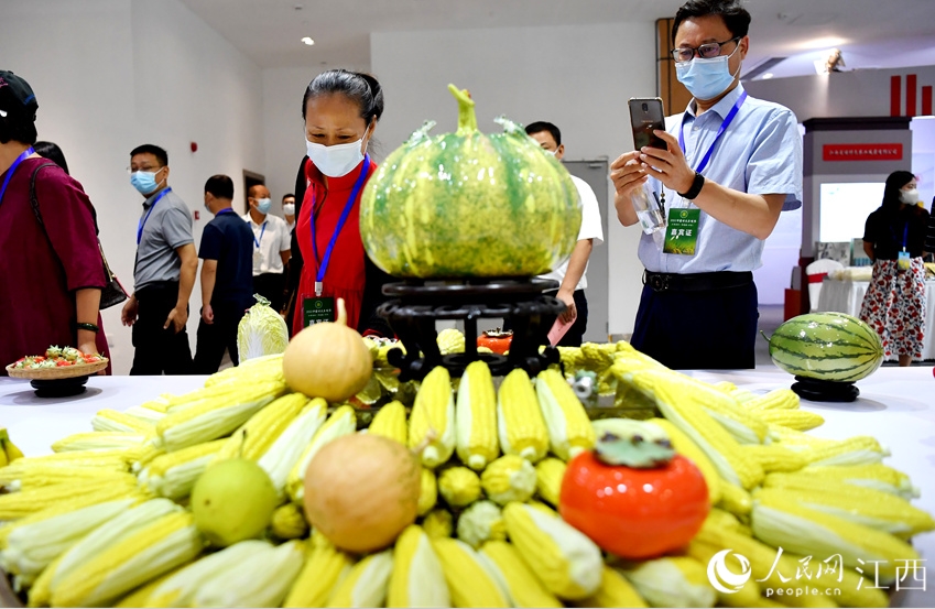 人々の注目を集めた陶器製のリアルな野菜や果物（撮影?時雨）。