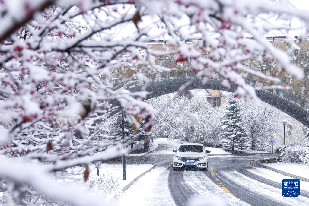 長(zhǎng)白山萬達(dá)國際リゾートの雪景色（10月10日撮影?陳慧）。