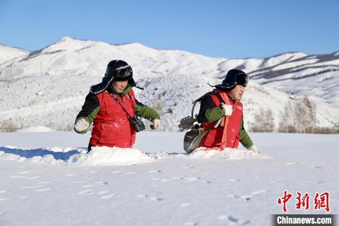 雪上を歩いて電線を點(diǎn)検する禾木供電所の職員（撮影?努爾別克）。