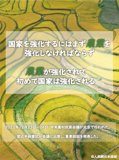 農村振興を全面的に推進、農業(yè)強國の建設を加速