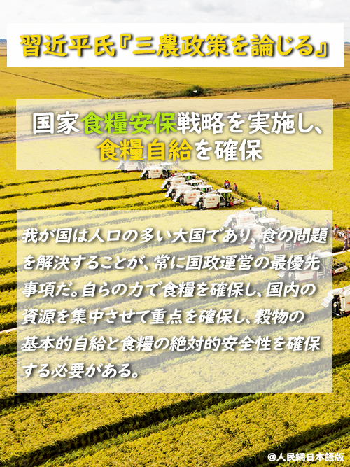 【習近平氏『三農政策を論じる』】國家食糧安保戦略を実施し、食糧自給を確保