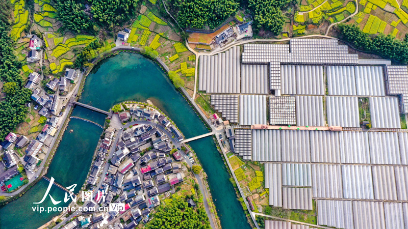 山村を彩る田園の春景色　浙江省淳安