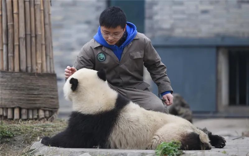 資料寫真