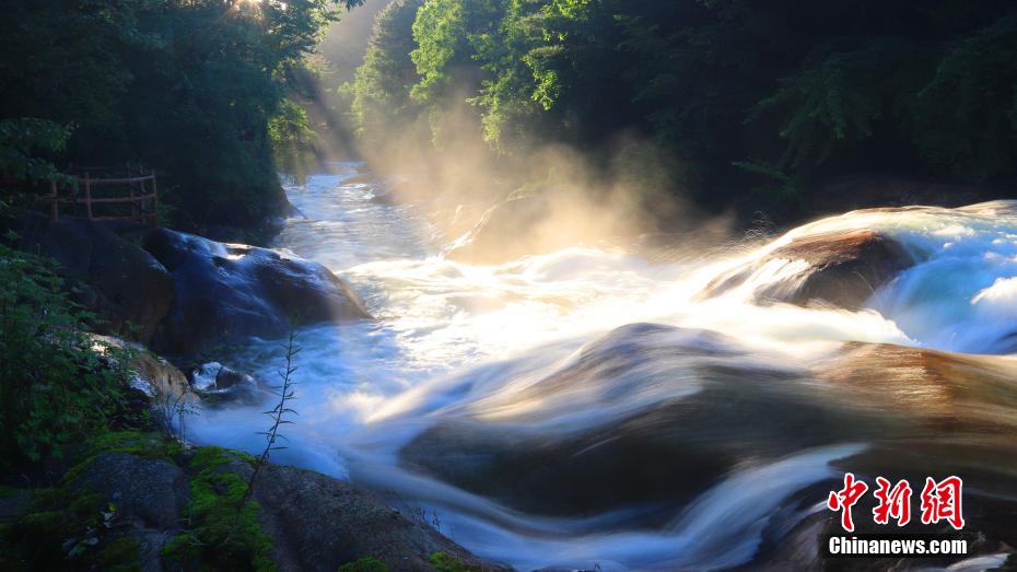 秦嶺山脈の山奧の夏の日の木漏れ日（寫真提供?黃柏塬原生態景勝）。