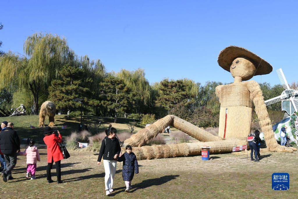 北京世界花卉大観園の「巨大かかしアート王國」を訪れた観光客（11月18日撮影?任超）。