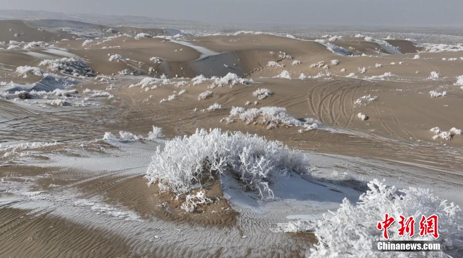 砂漠の霧氷（撮影?劉極偉）。