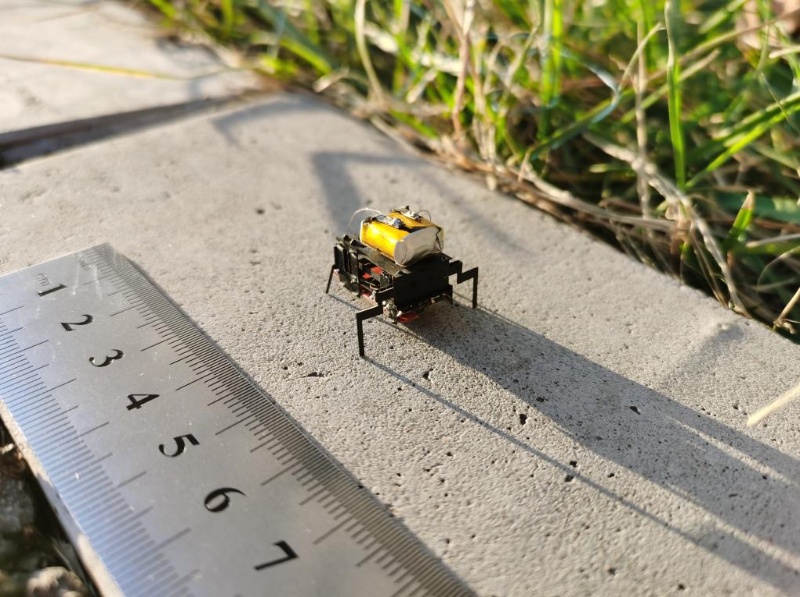 北京航空航天大學の科學研究チームが研究開発した超小型昆蟲ロボット。（畫像提供は取材先）