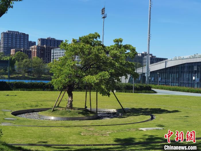 運河アジア競技大會公園の雨水回収利用設備。撮影?鮑夢妮