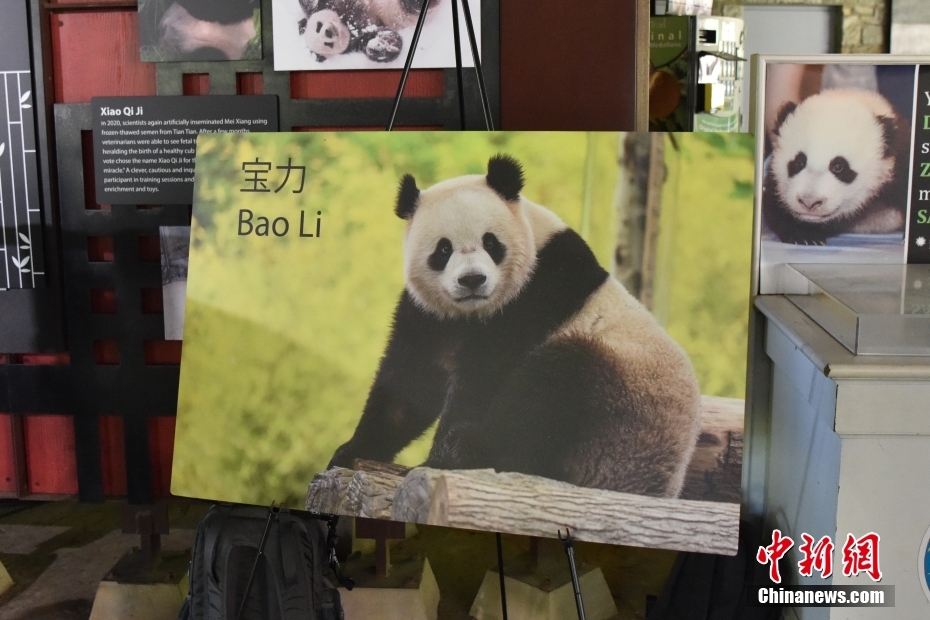 米ワシントン國立動物園が今年末にパンダ2頭を受け入れることを発表